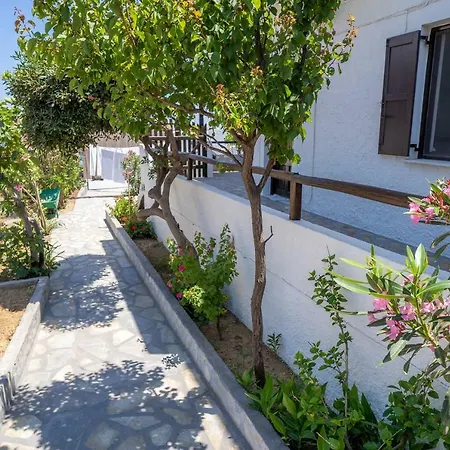 Ferogia سكيروس