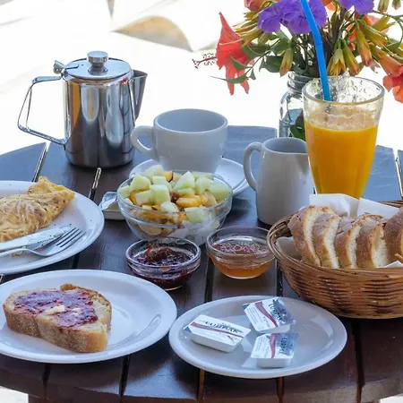 Ferogia سكيروس